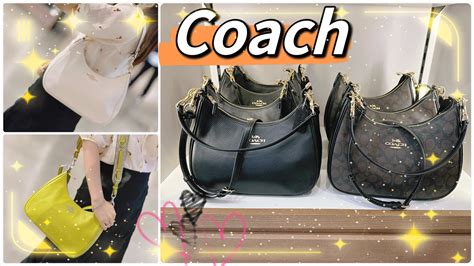 coach teri hobo bag dupe.